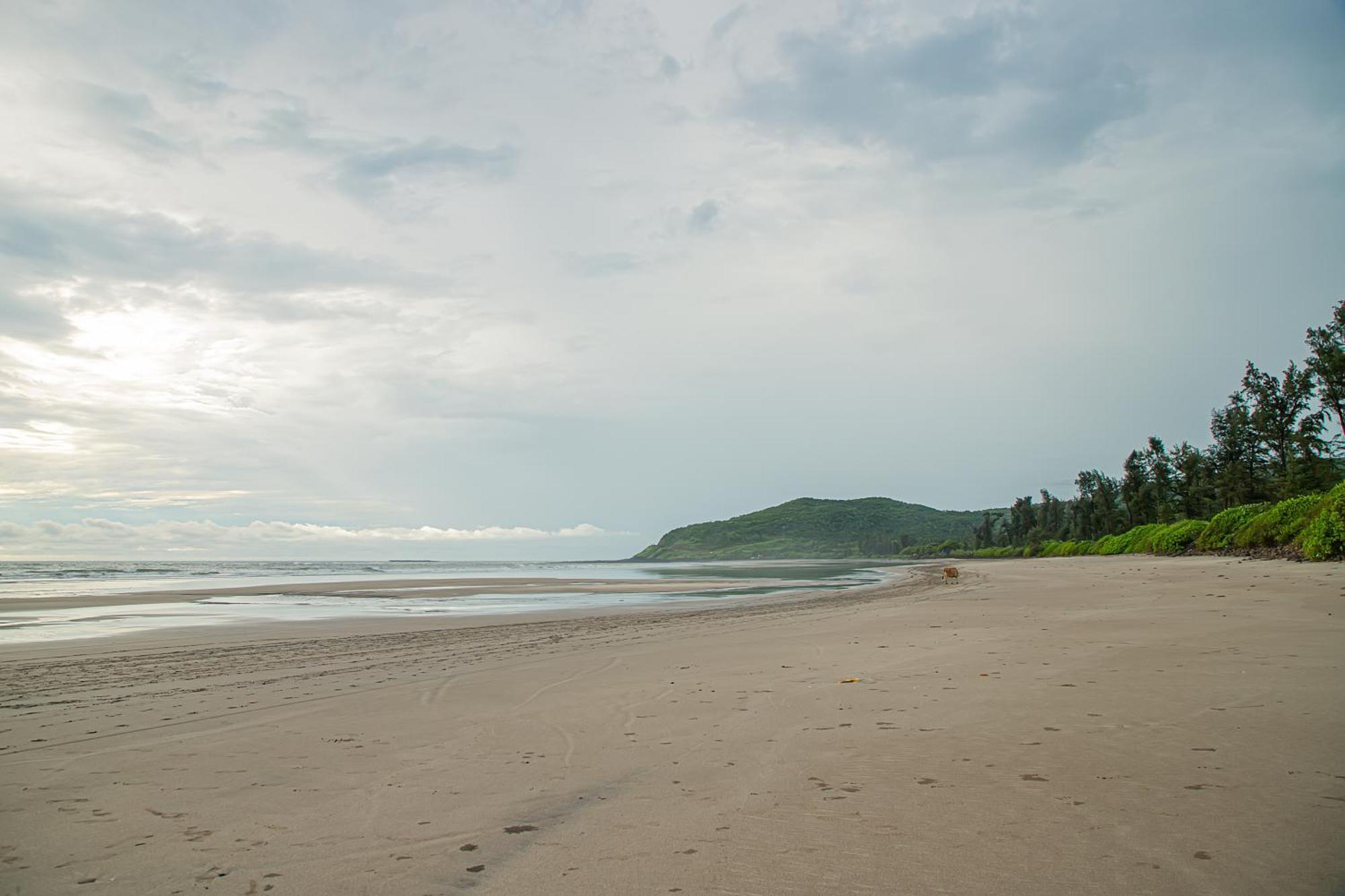 White Sand Beach Resort Kondivali エクステリア 写真